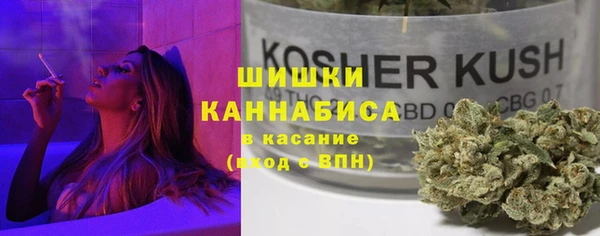 тгк Лиски
