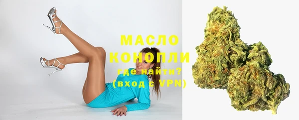 молекула духа Переславль-Залесский