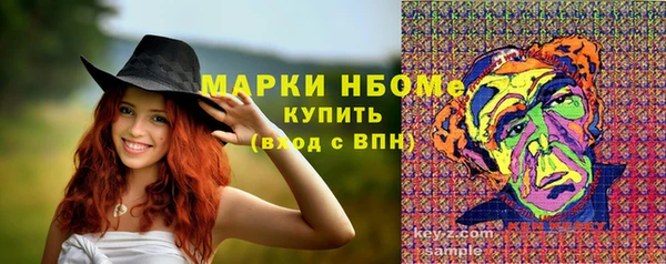 молекула духа Переславль-Залесский