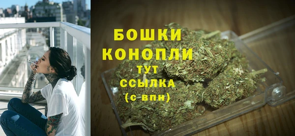 тгк Лиски