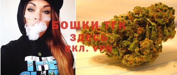 тгк Лиски