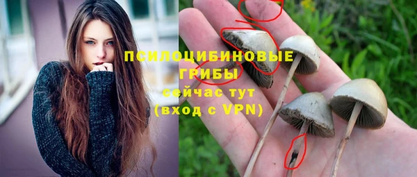 молекула духа Переславль-Залесский