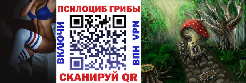 цена кракен tor Галлюциногенные грибы прущие грибы Льгов